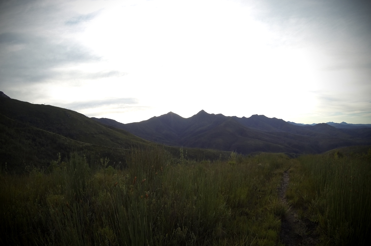 danish magazine template