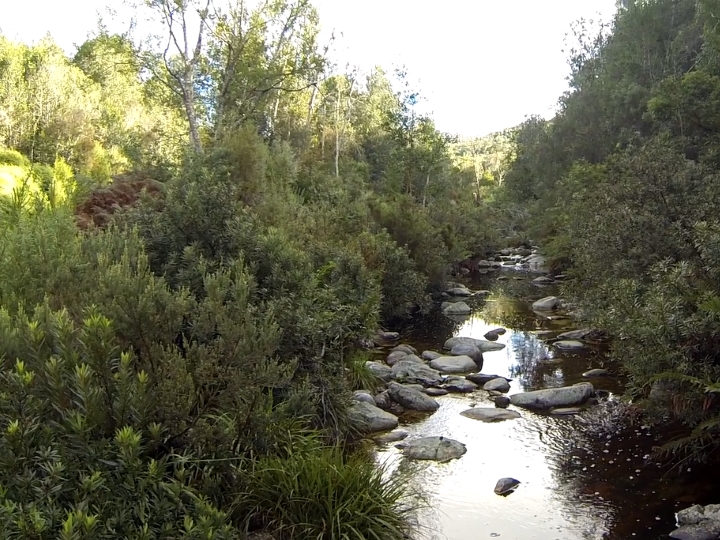 danish magazine template