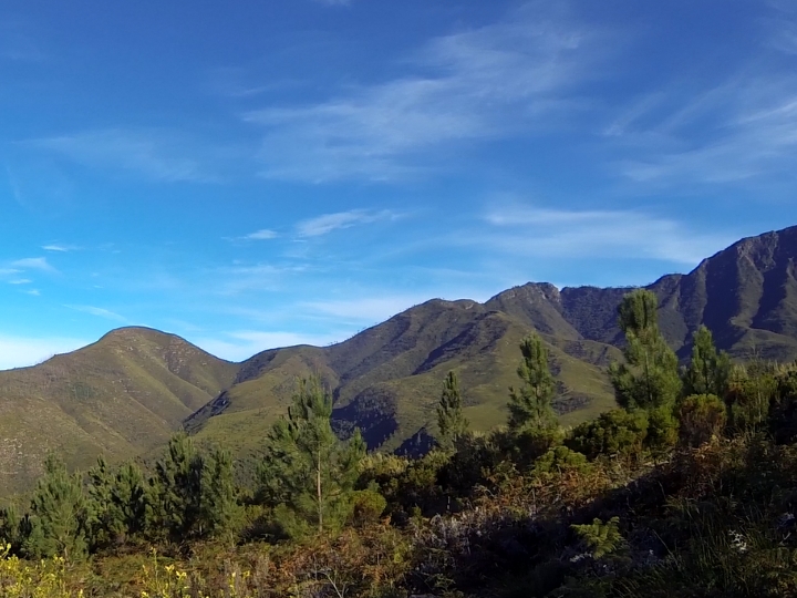 danish magazine template